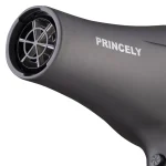 سشوار حرفه‌ای PR249AT