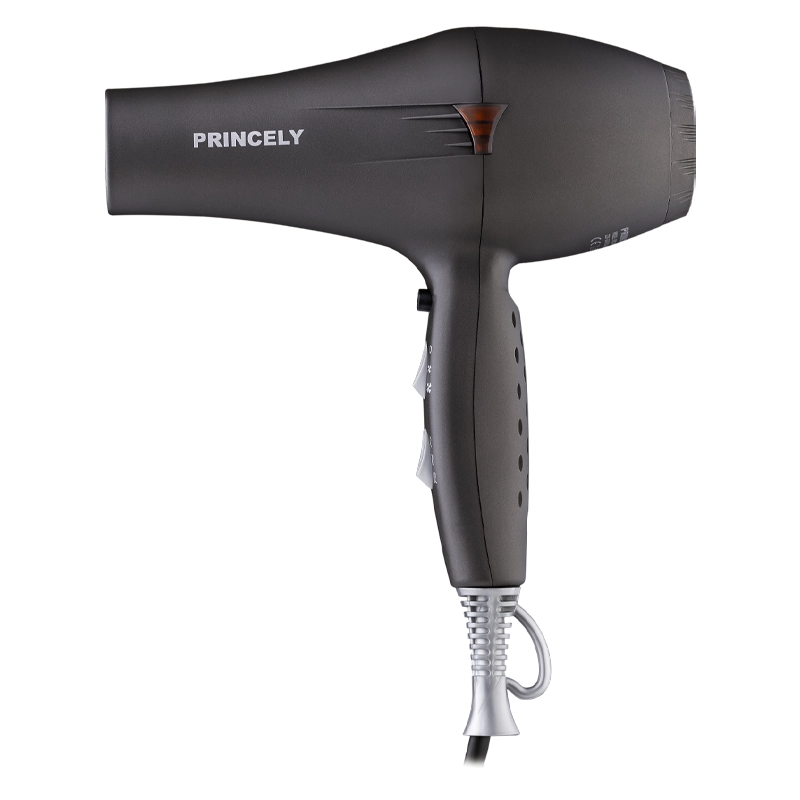 سشوار حرفه‌ای PR249AT